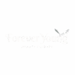 untitled design (39)